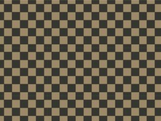 Checker 5