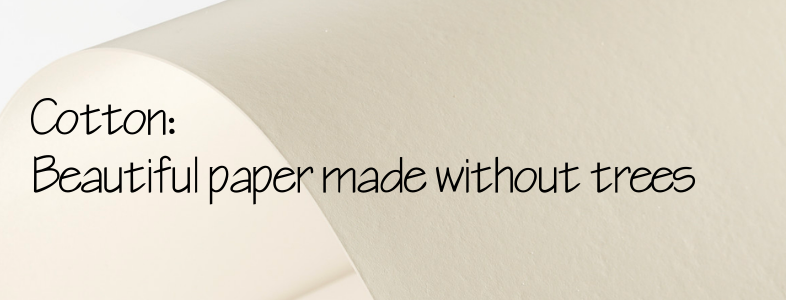 Feature: Cotton Paper