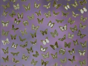 Alison Ellis Design – Enchanted Forest Butterflies