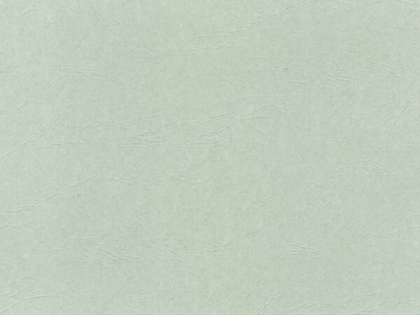Leathergrain Pearl Grey Card