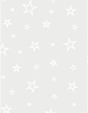 Printed Vellum – Star Outline White