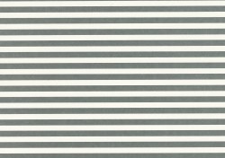 Pretty in Print - Candy Stripe - Slate Grey