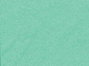 Tissue Paper – Pastel Green